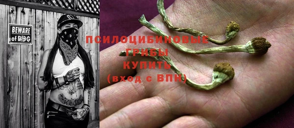 соль курить ск Иннополис